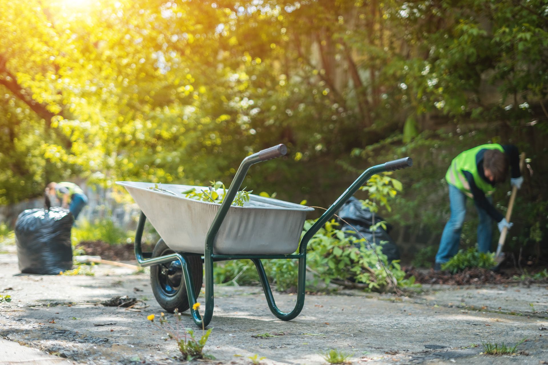 A man is cleaning a park with a shovel and a wheelbarrow.