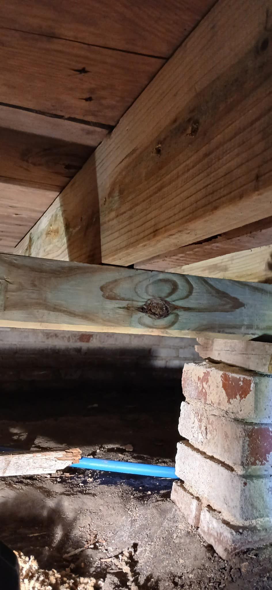 A person is standing under a wooden structure in a basement.