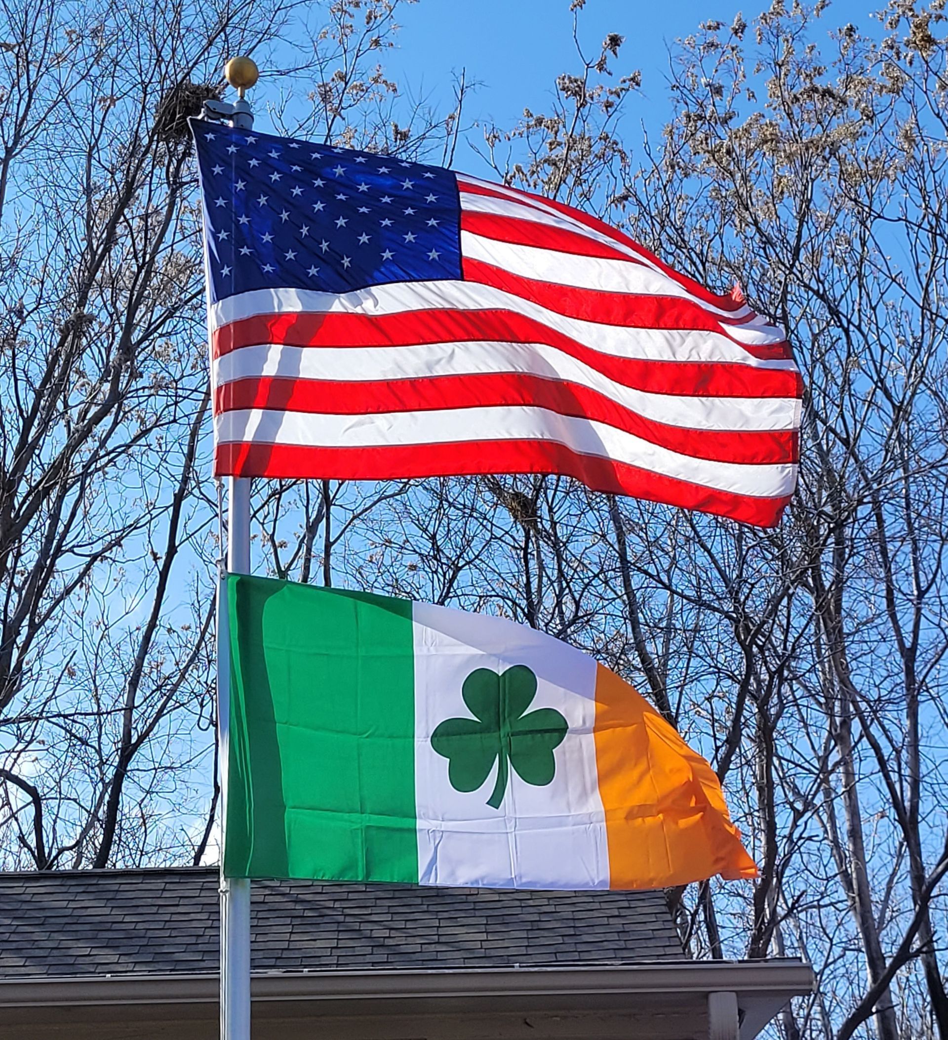 A flag with a clover on it is next to an american flag