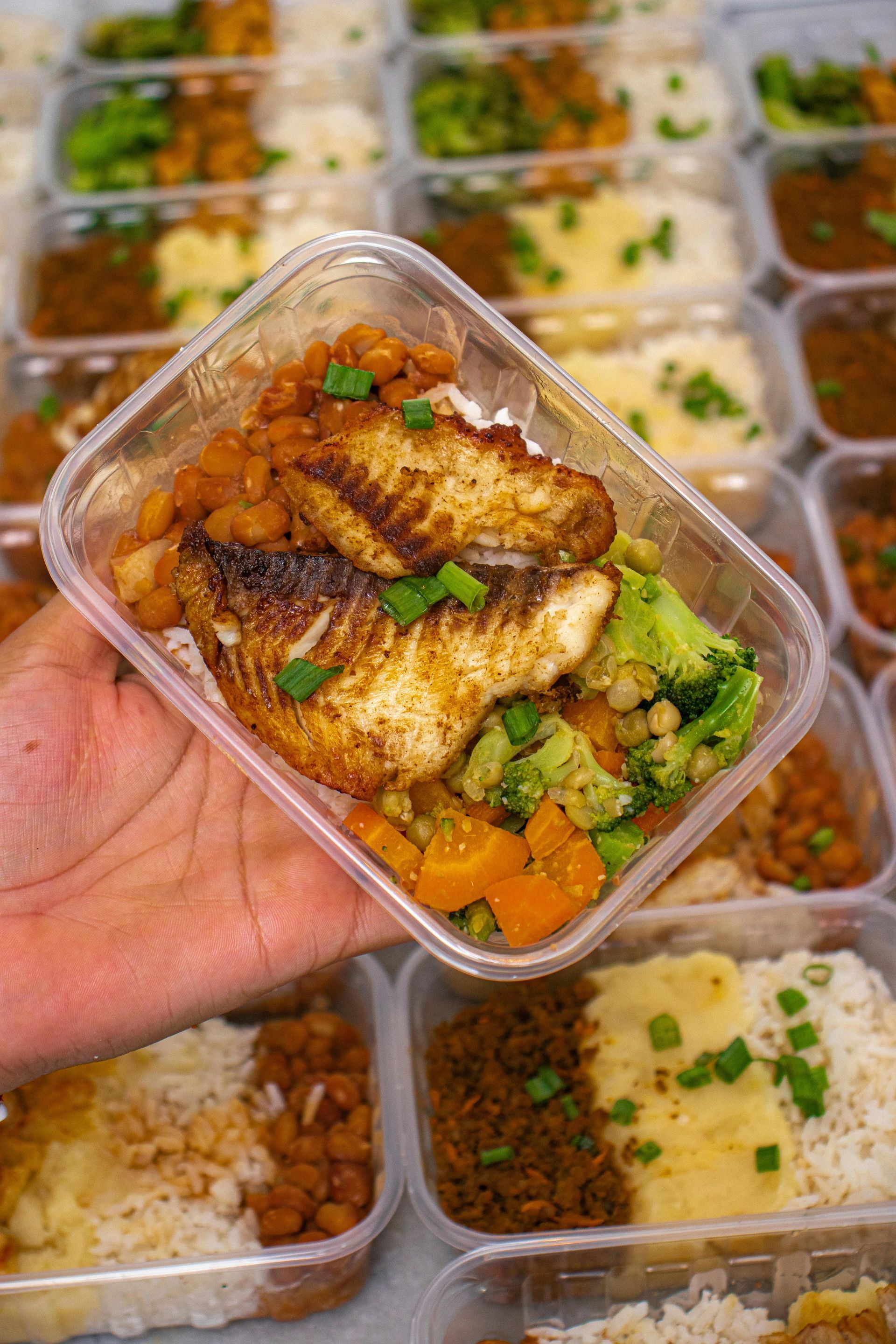 A hand holds a plastic meal prep container filled with seared white fish, broccoli, carrots, and beans, surrounded by more.