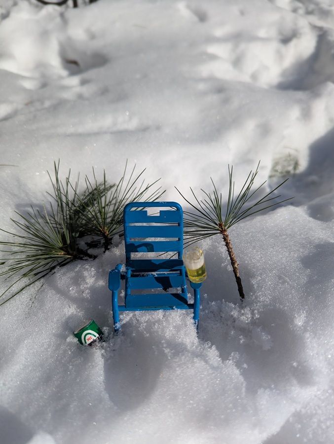 Blue chair in snow beside a pine branch and a small can or cup.