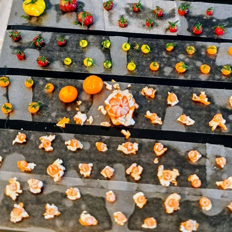 Assorted fruits and sliced pieces arranged in neat rows on dark horizontal lines outdoors.