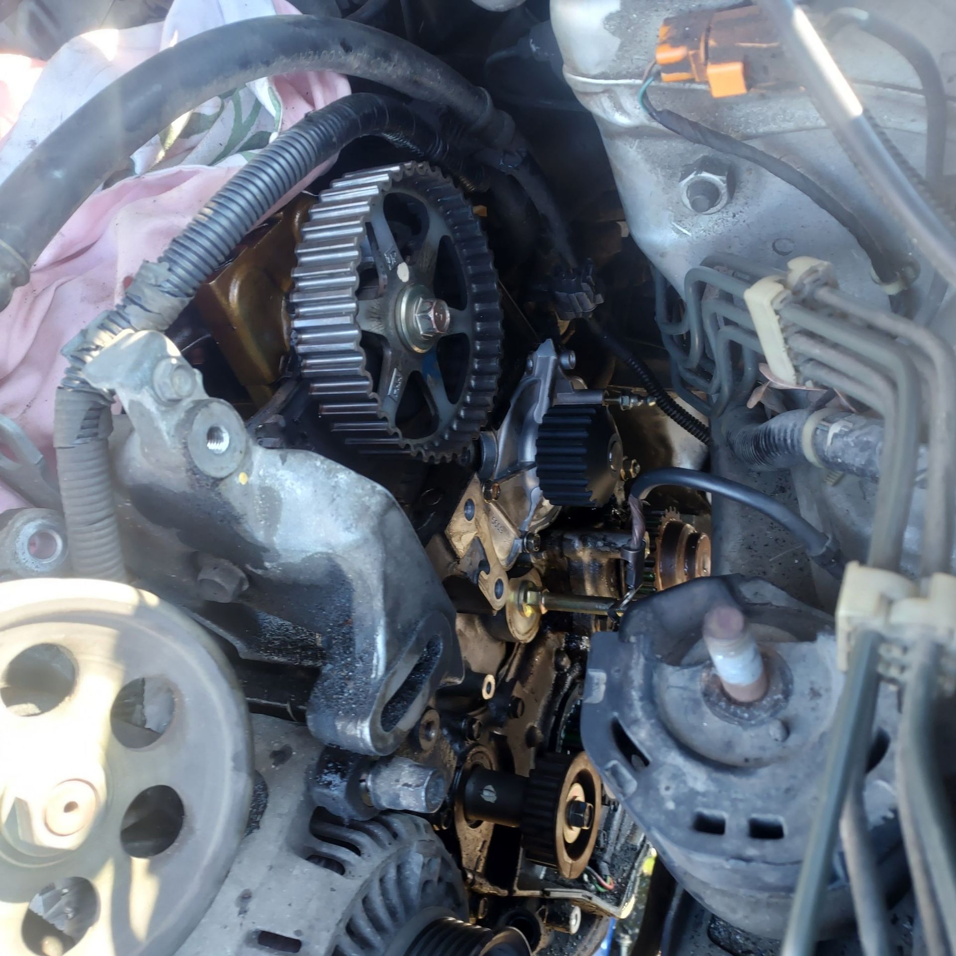 Engine compartment with exposed timing belt components. Metal, black gears, and hoses are visible.