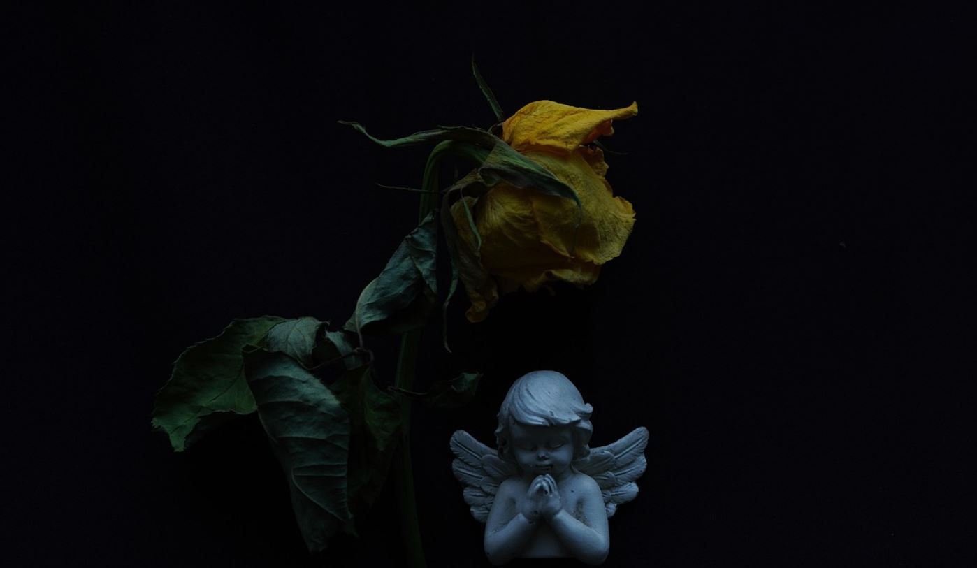 funeral homes in North Riverside, IL