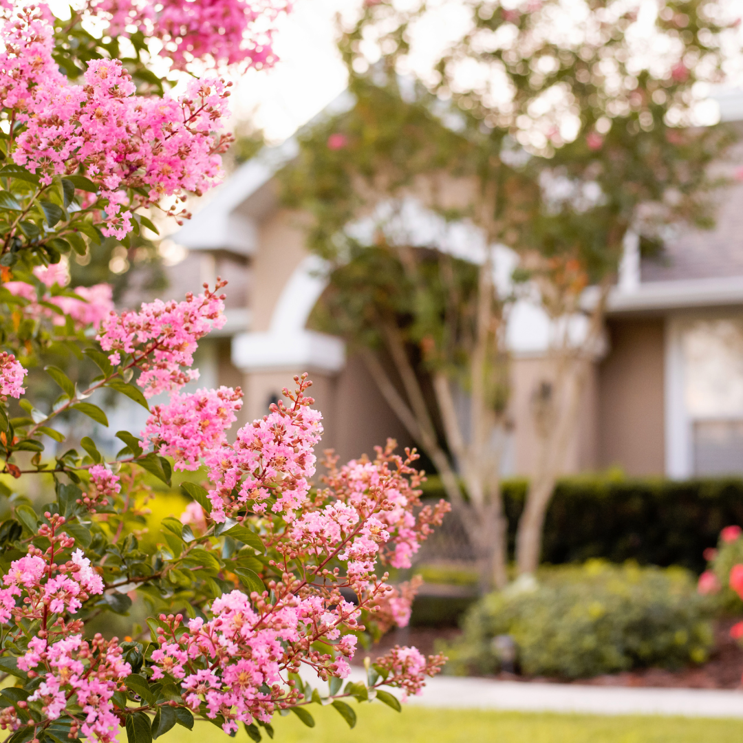 Spring Tree Health Checklist for Homeowners in  Corvallis, Corvallis Tree Care LLC,  Certified Arborist