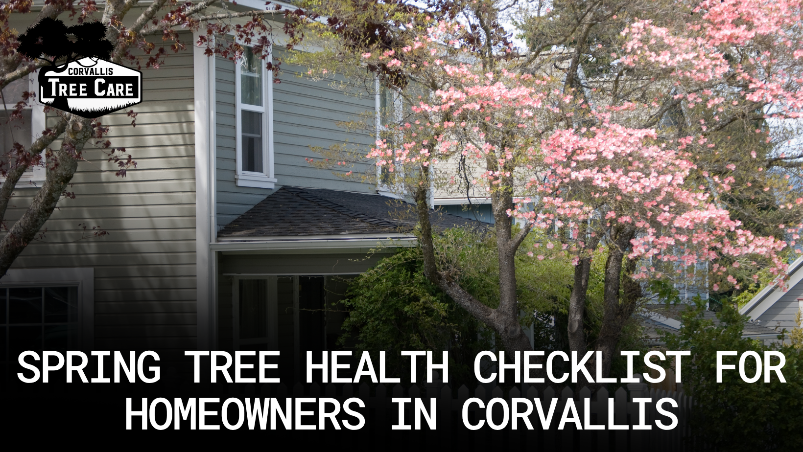 Spring Tree Health Checklist for Homeowners in  Corvallis, Corvallis Tree Care LLC