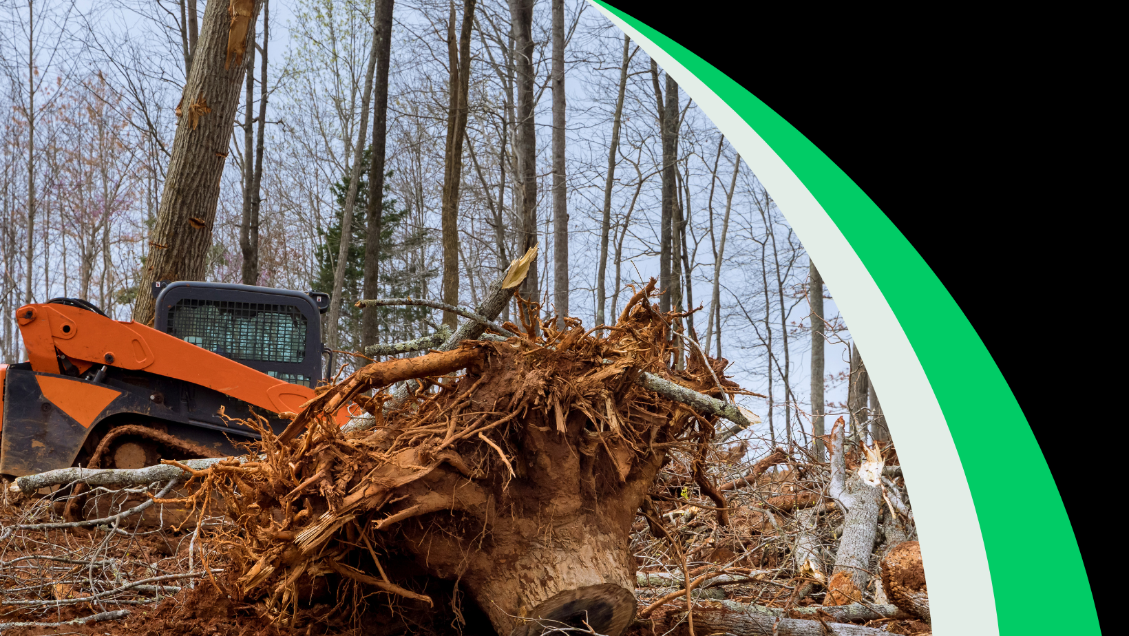 Land Clearing Services | Corvallis Tree Care
