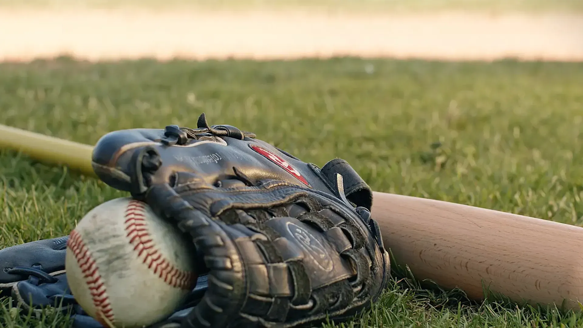 Baseball, glove, and bat on a grassy field.