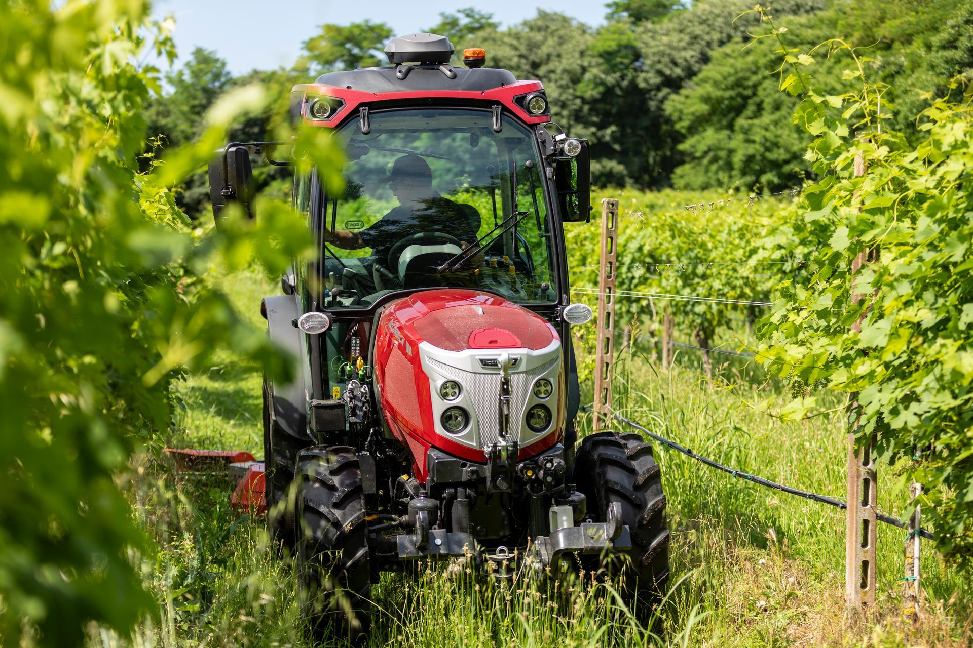 Red tractor driving through a vineyard, flanked by green vines.