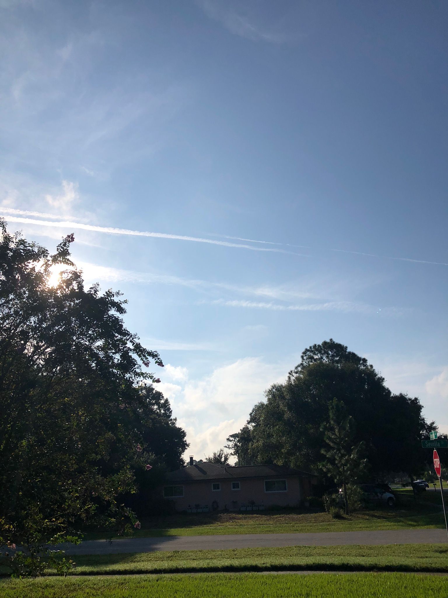 Blue sky with a house nestled between two trees, sun peeking through left side.