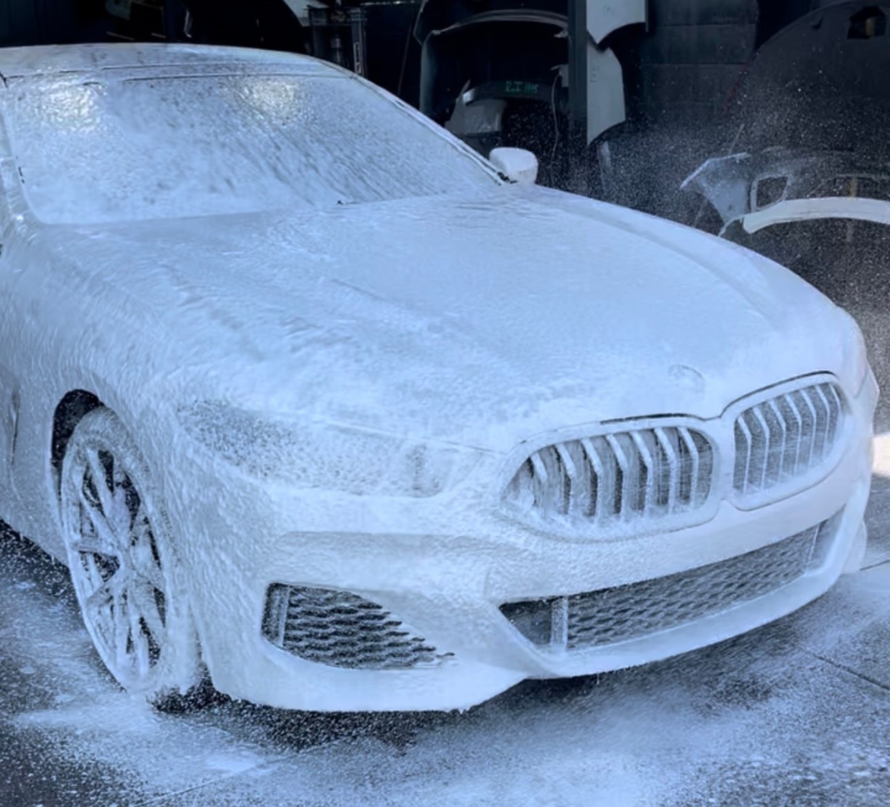 BMW, Mercedes, Mini Cooper, Sprinter, Ford, Lincoln, GM, Cadillac, Hyundai, Kia, Nissan, Infiniti, Dodge, Chrysler, Fiat, 