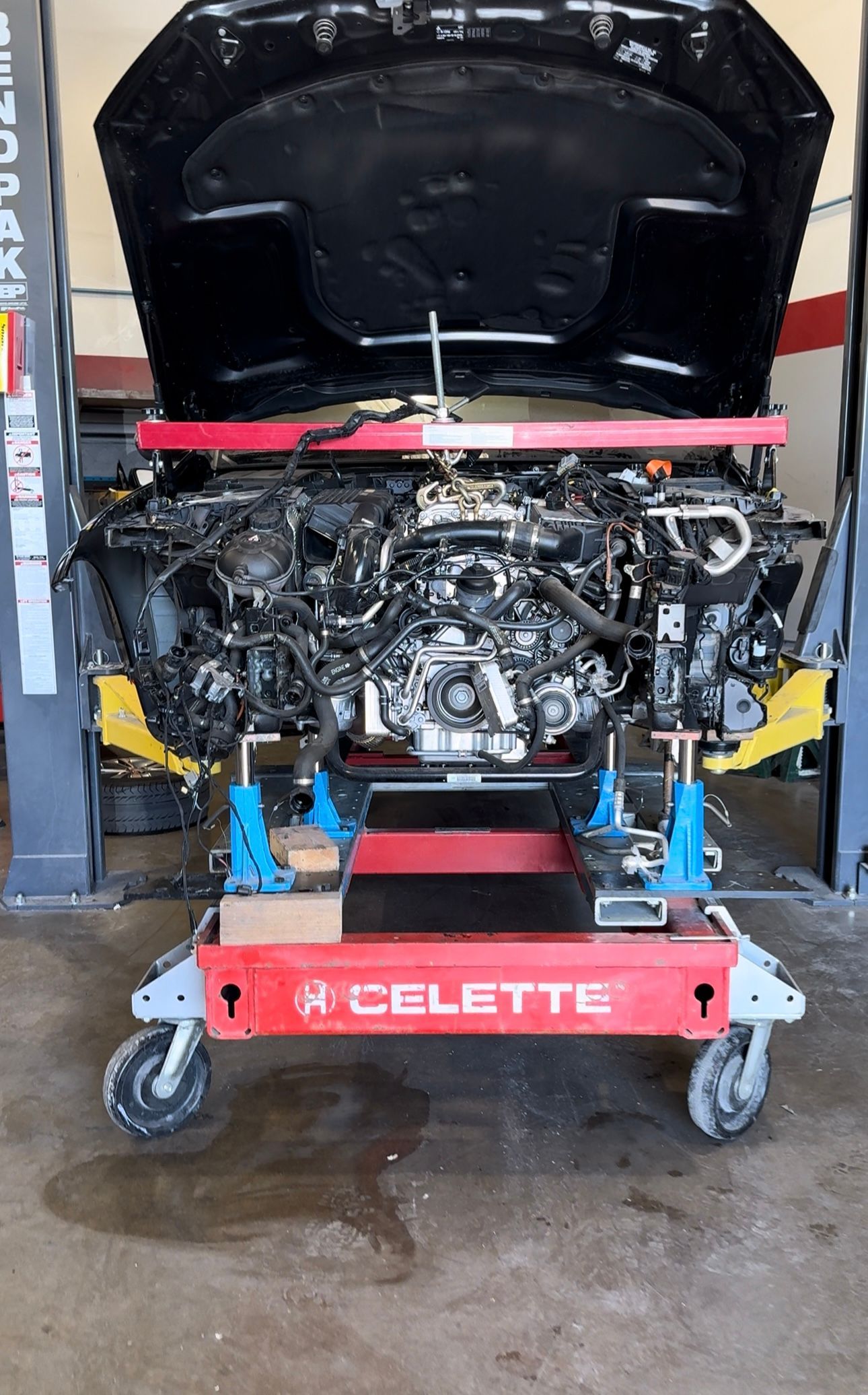 BMW, Mercedes, Mini Cooper, Sprinter, Ford, Lincoln, GM, Cadillac, Hyundai, Kia, Nissan, Infiniti, Dodge, Chrysler, Fiat, 