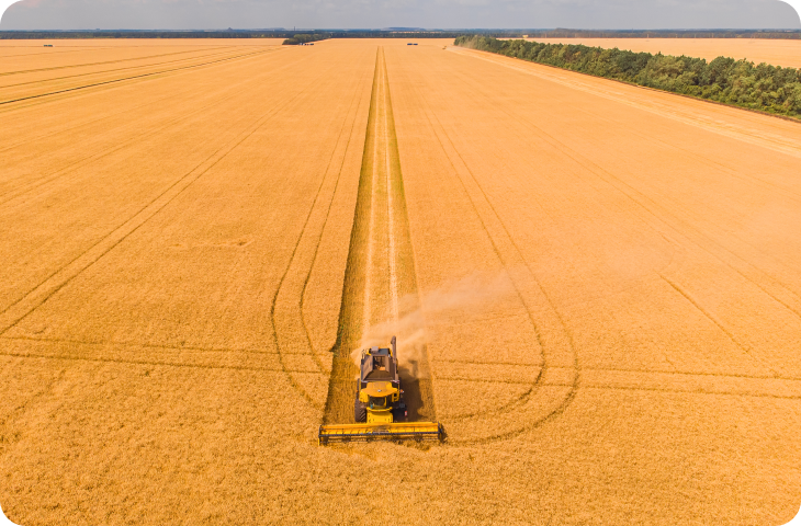 Uma vista aérea de uma colheitadeira trabalhando em um campo de trigo.