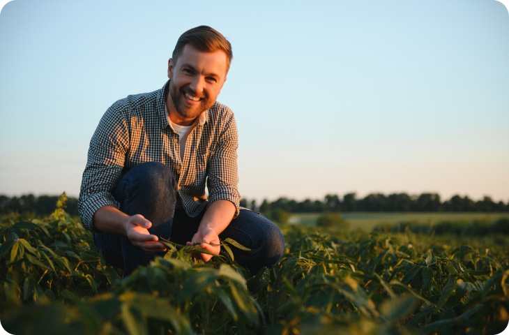 Um homem está ajoelhado em um campo de plantas.