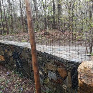 Stone wall with black netting and trees in the background. A single tree trunk is in front.