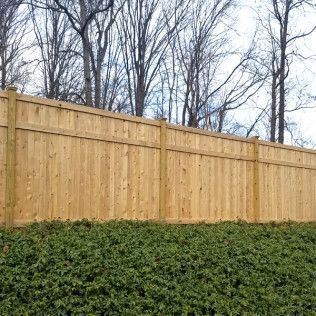 Wooden fence with green bushes in front, trees in background.