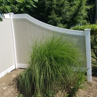 Tan and white vinyl fence with a curved top, framing a grassy plant in a yard.