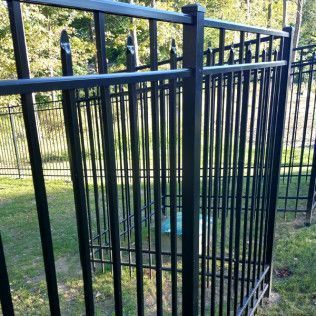 Black metal fence surrounding a small tree, with green grass and trees in the background.