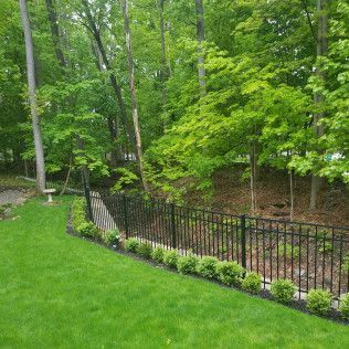 Lush green lawn with black fence bordering a wooded area.