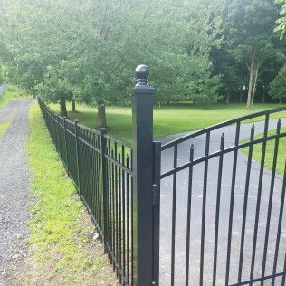 Black metal fence with gate, driveway on left, grass and trees in background.