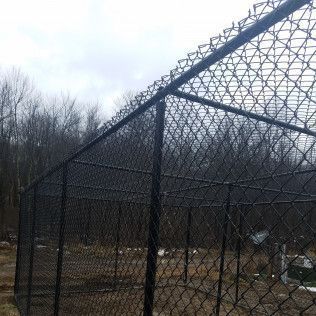 Black chain-link fence, topped with spikes, encloses an outdoor area, trees in the background under a cloudy sky.