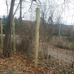 Wooden fence posts in a wooded area with fallen leaves and bare trees.