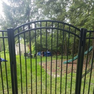 Black metal fence with arched top in backyard. Green grass and trees in the background.