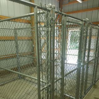Metal chain-link dog kennels inside a building, with multiple sections and a gate.