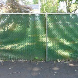 Green chain-link fence with privacy slats. A paved surface is in front.