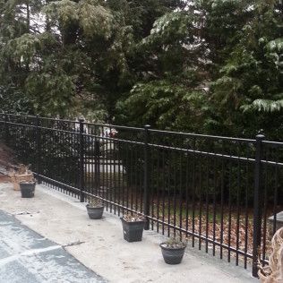 Black metal fence with potted plants along a concrete surface, trees in the background.