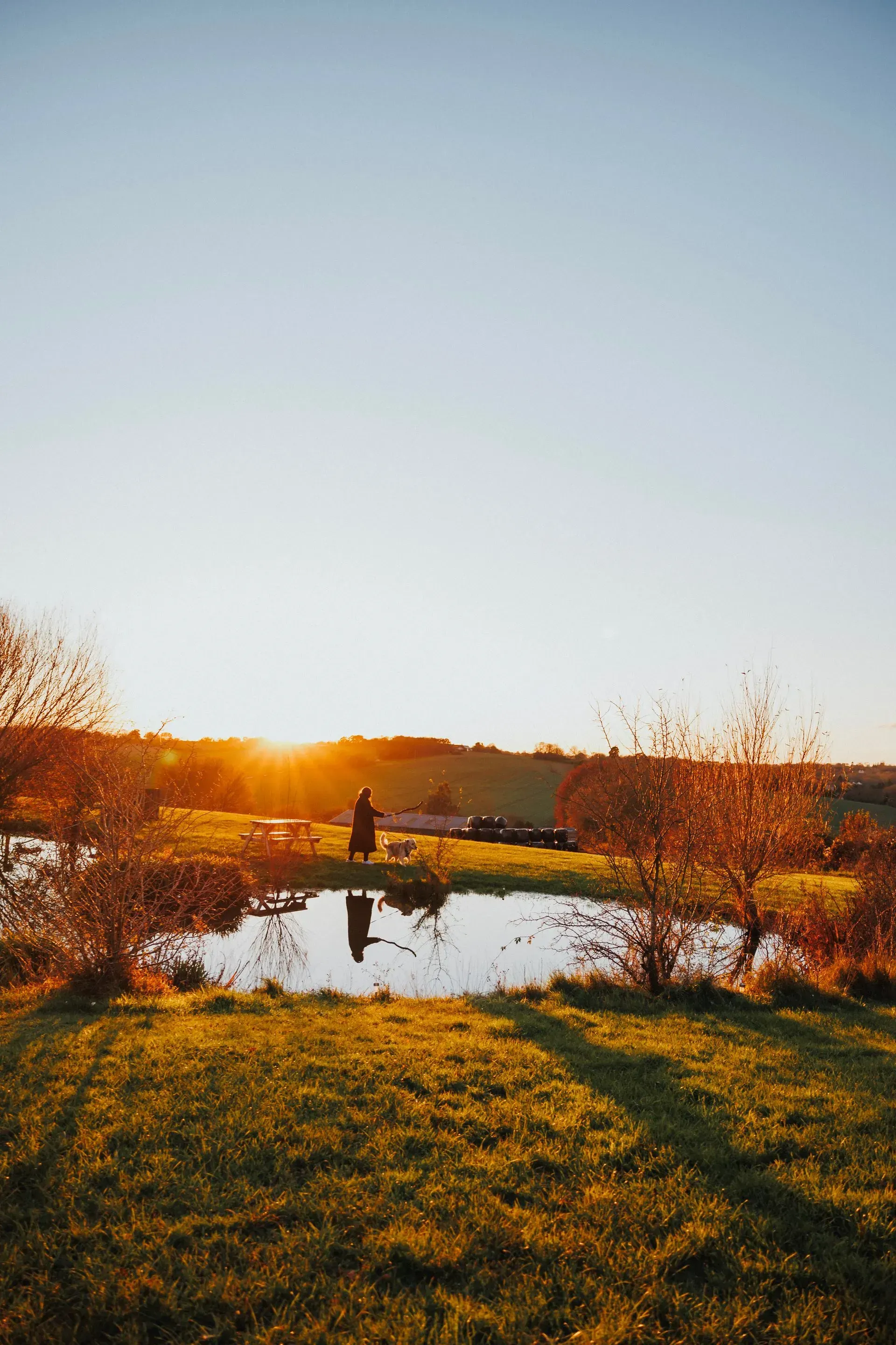 Friendly dogs are welcome