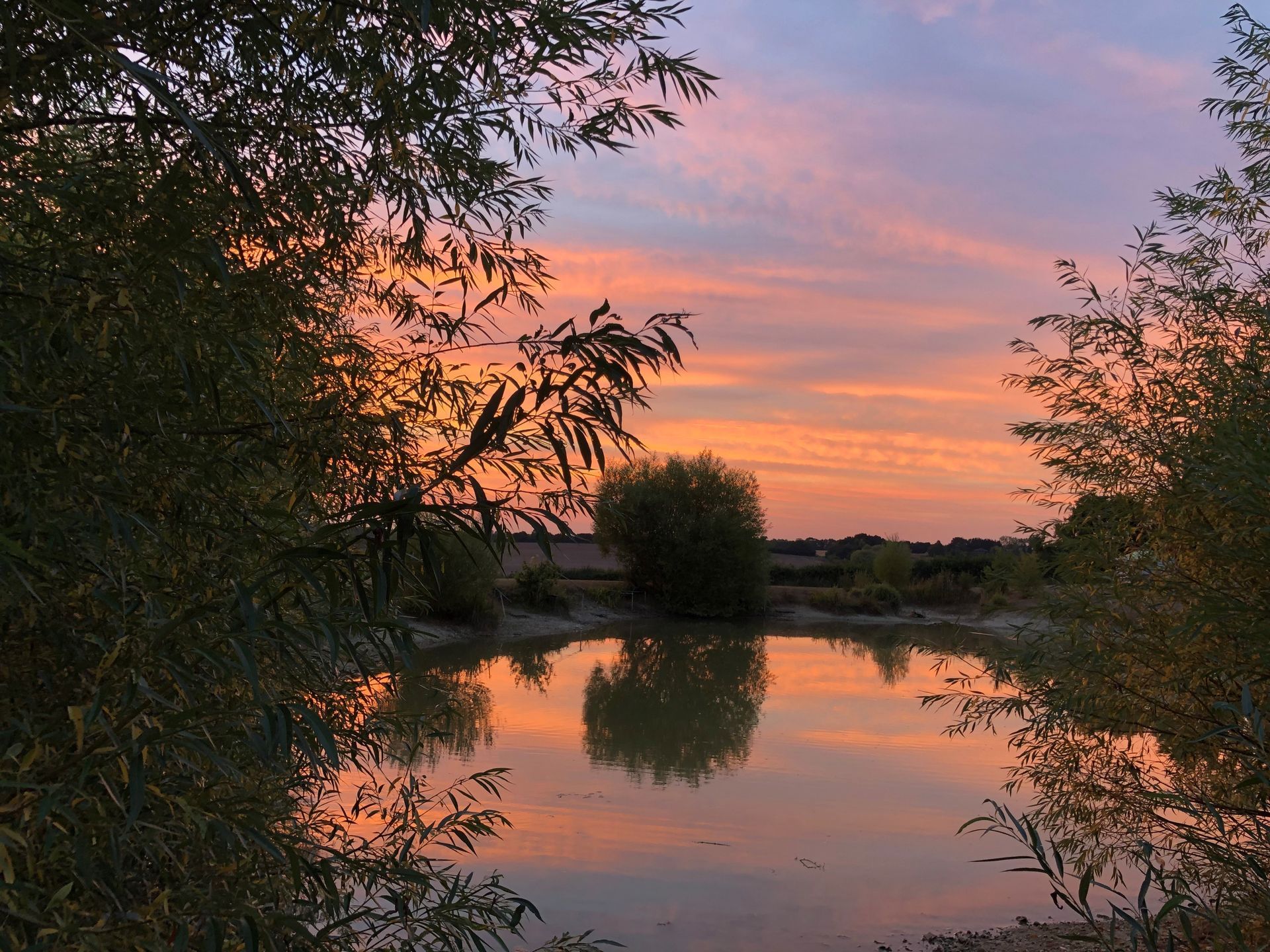 View of fishing lake from the Nest