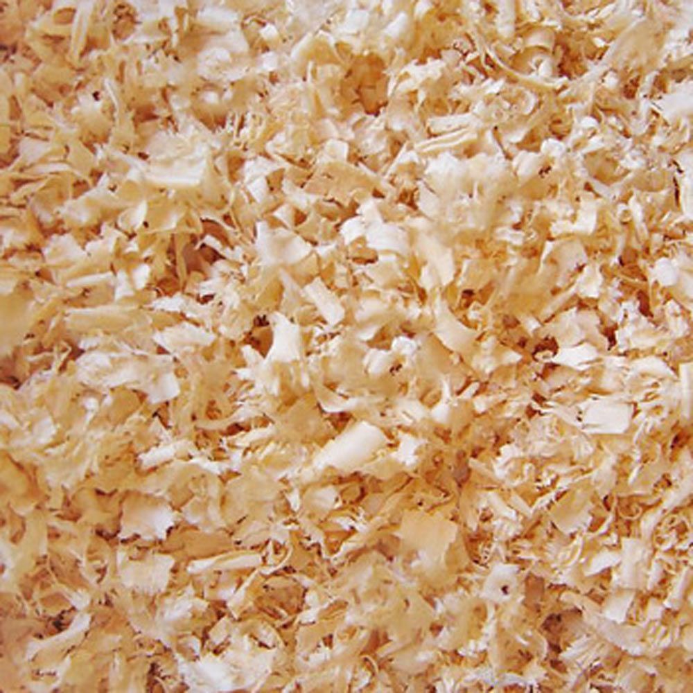 Pine Shavings