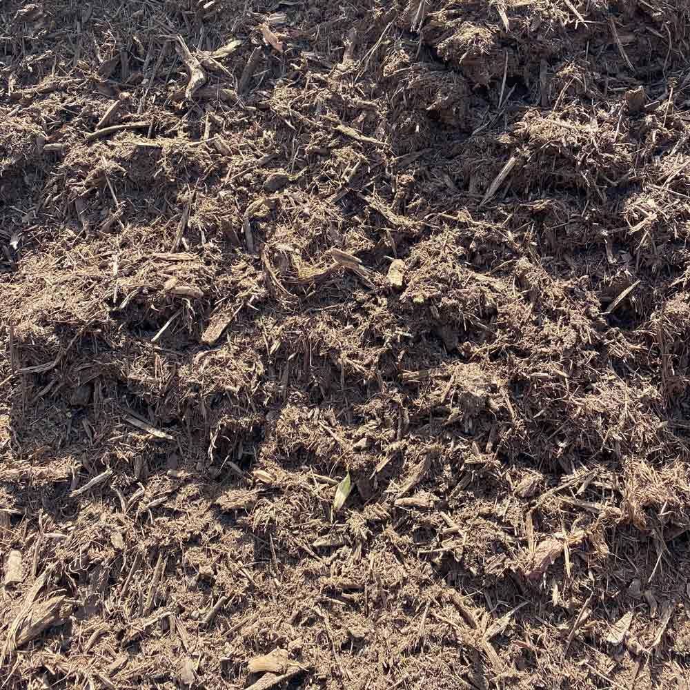 Forest Mulch