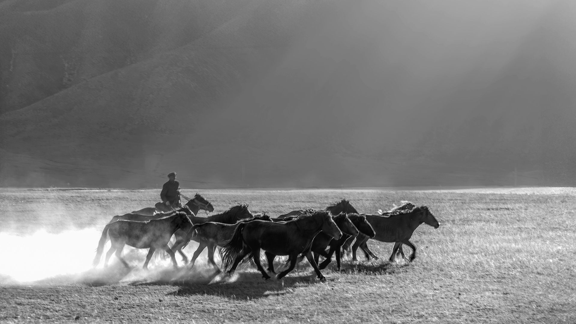 Made To Order Apparel