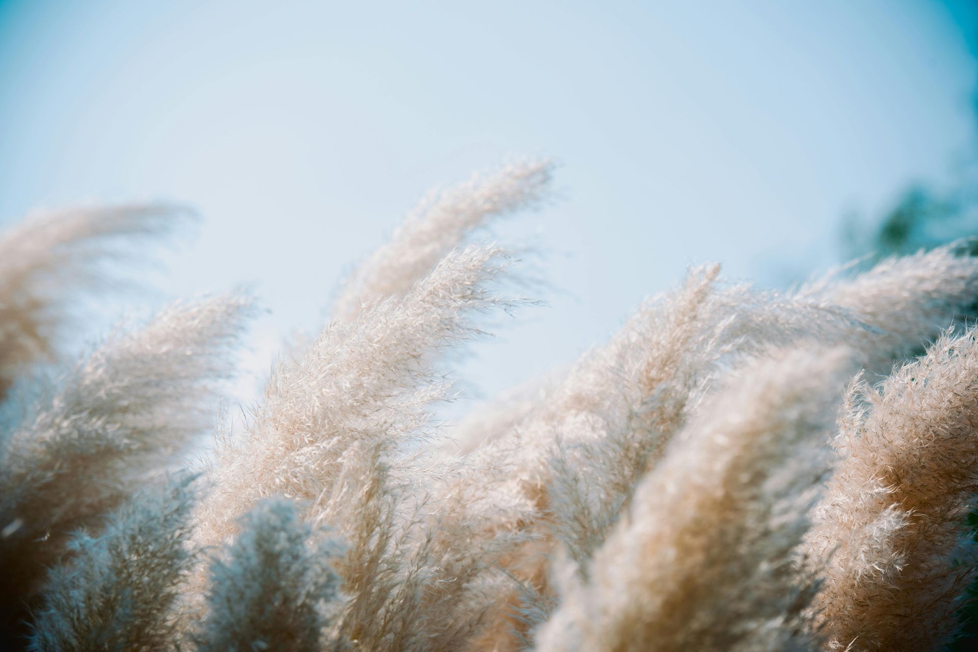 Made To Order Accessories