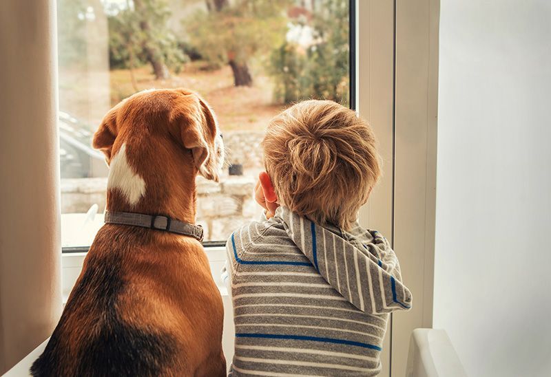 Little boy with dog looking out window