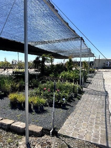 Plants for sale under a black shade cloth canopy, with a brick walkway.