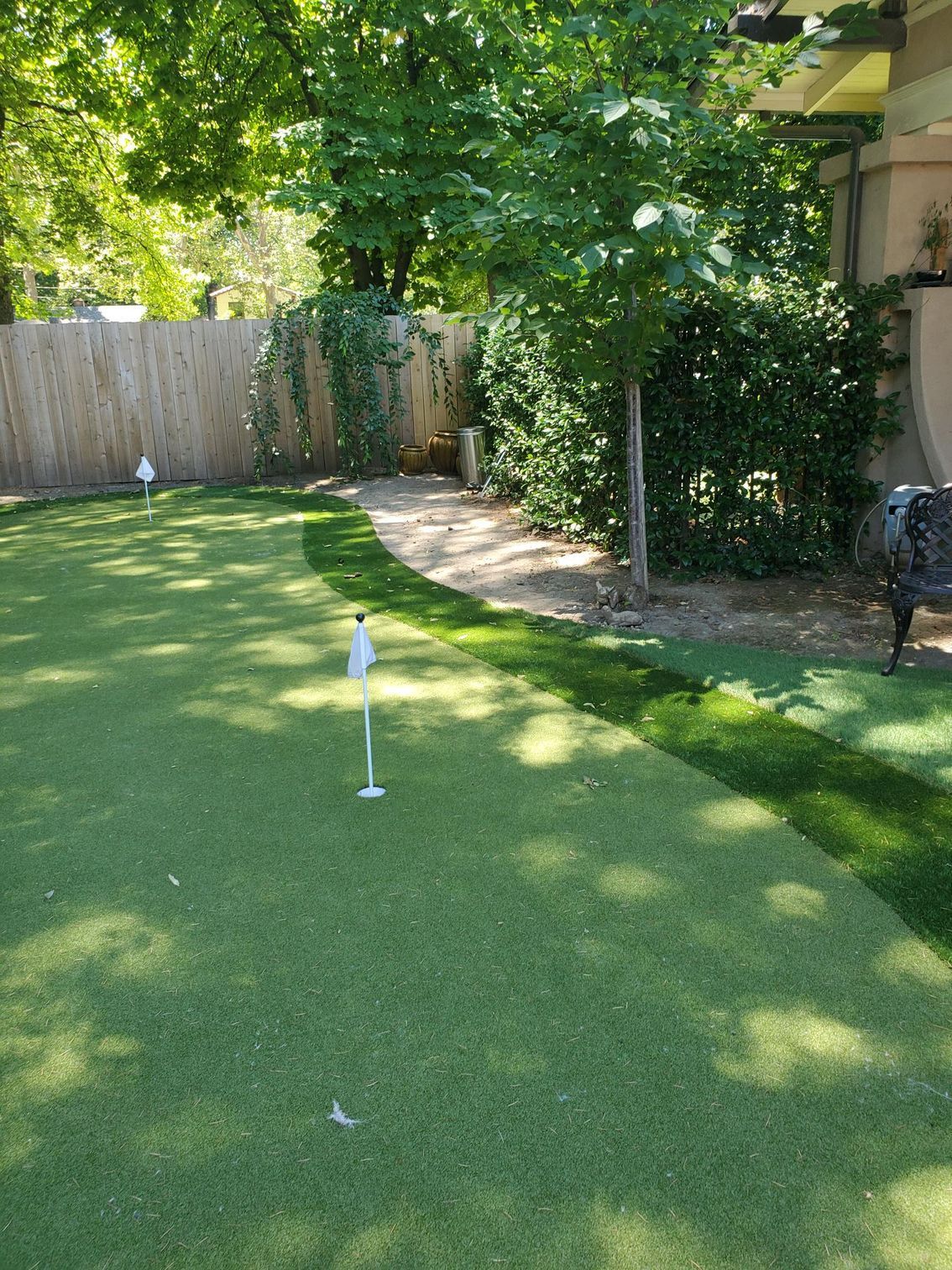 Green artificial putting green with two flags, bordered by a hedge and fence, sunny outdoor setting.