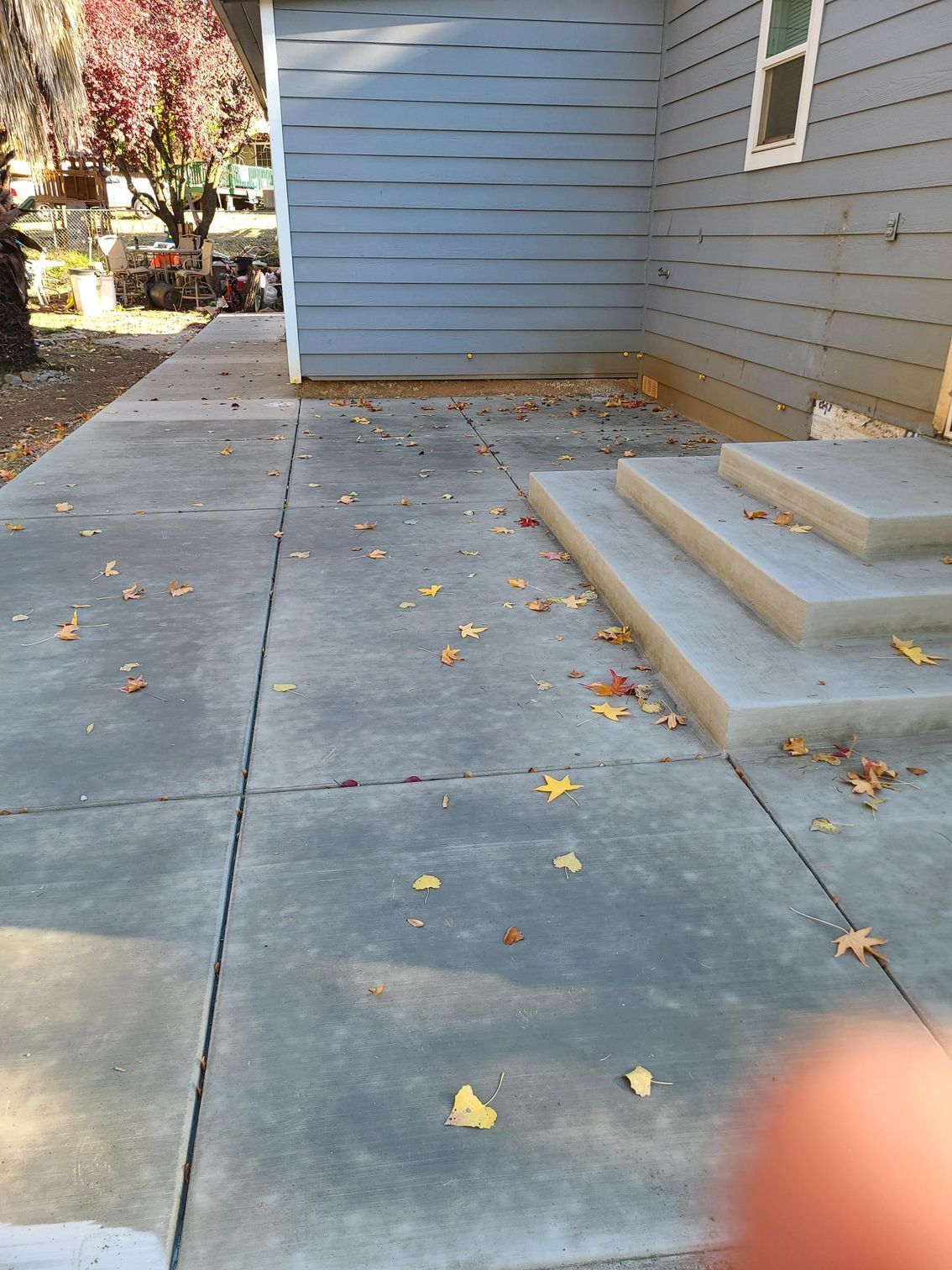 Concrete walkway with steps and blue siding. Fallen leaves scattered.