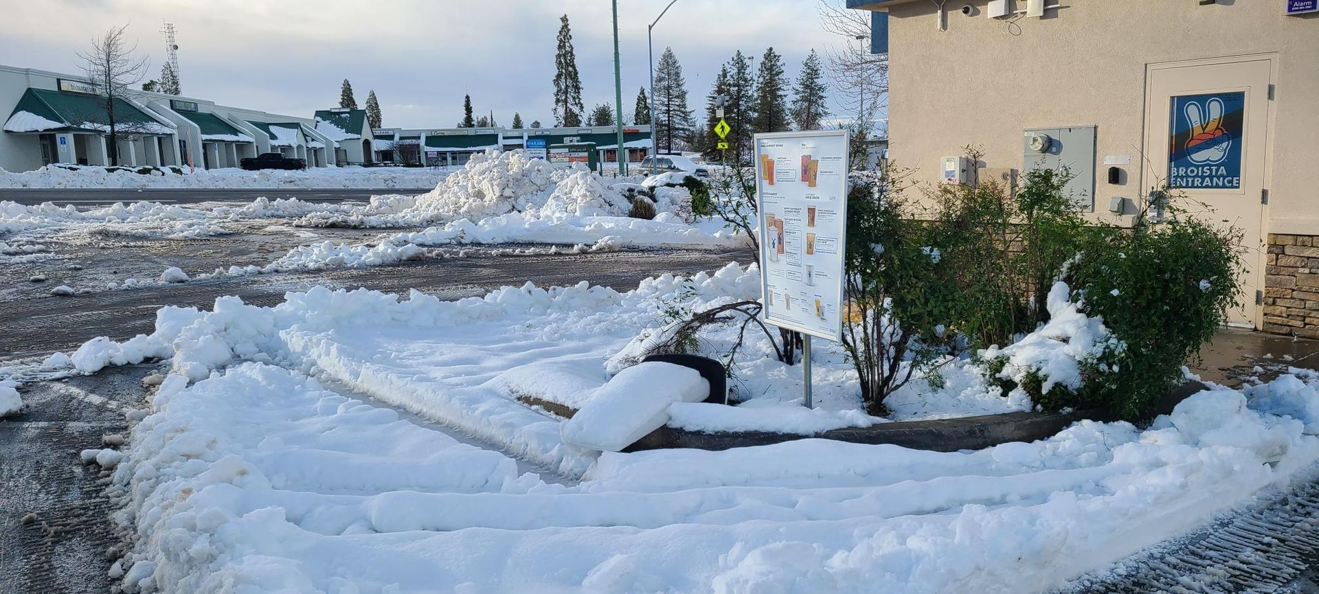 Snow-covered parking lot with businesses in the background. A snow-covered sign and bushes in the foreground.