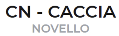 Logo con la scritta “CN - CACCIA NOVELLO” in nero e grigio su sfondo bianco.
