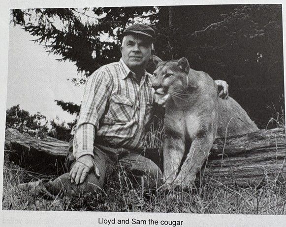 Loyd and Sam the Cougar - from the book Wilderness Trails and a Dream, by Lloyd Beebe