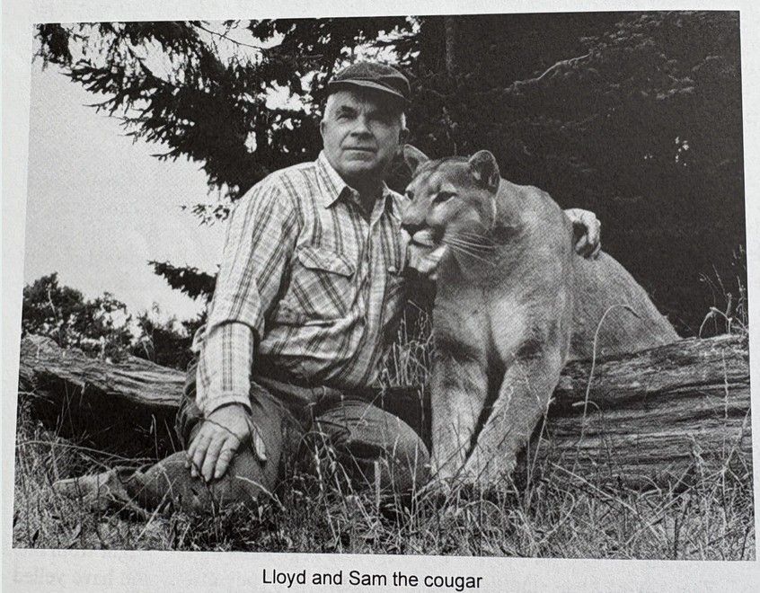 Lloyd and Sam the Cougar.  Photo is from the book Wilderness Trails and a Dream by Lloyd Beebe.
