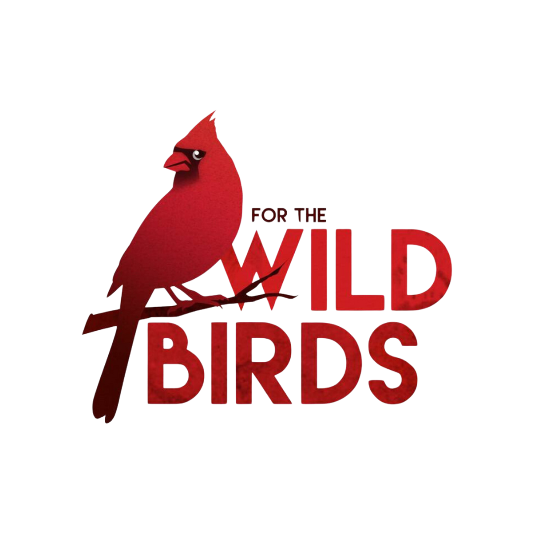 A logo for the wild birds with a red bird on a branch