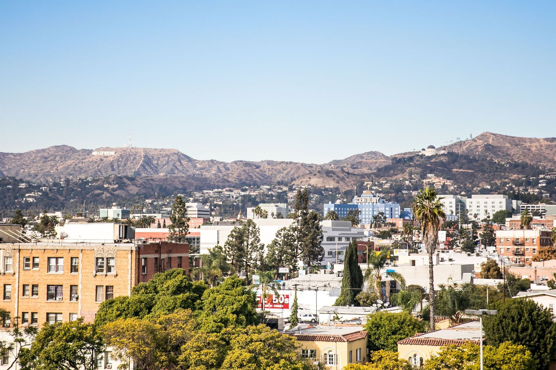 A sunny cityscape of Los Angeles with tan buildings and palm trees in the foreground, and the Hollywood sign in the hills.