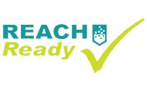 Logo Reach Ready