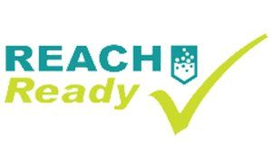 Logo Reach Ready