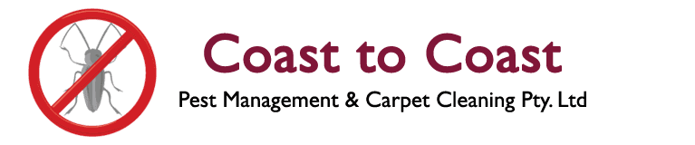 Pest Control & Carpet Cleaning in Maryborough