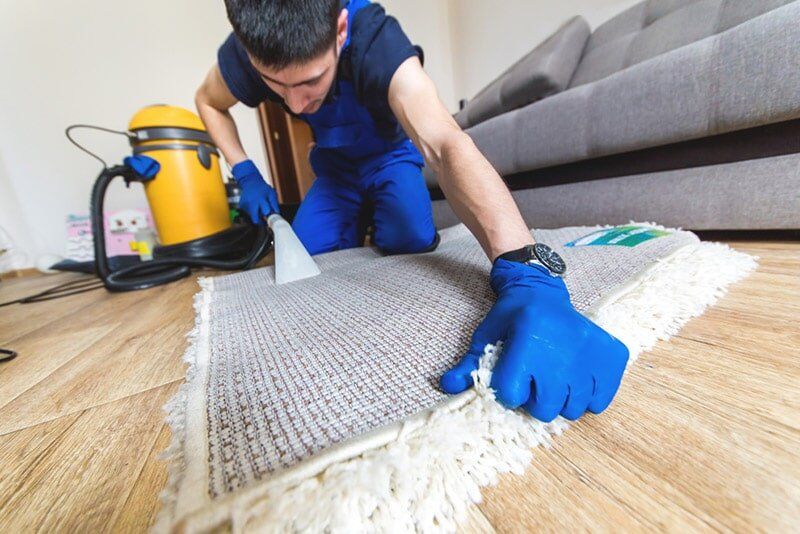 Carpet Cleaning Service — Pest Control & Carpet Cleaning Services in Boonooroo, QLD